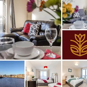 book here